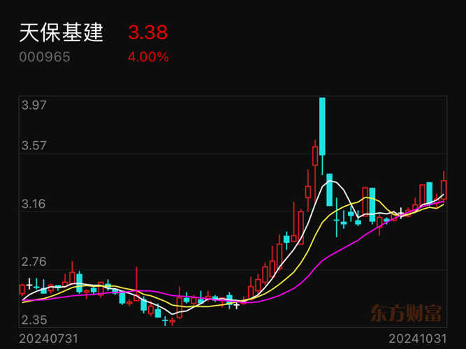 天保基建最新动态深度分析与个人观点分享
