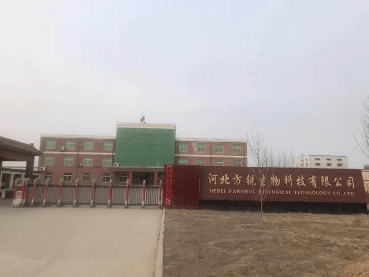 陇西县城最新招聘信息汇总