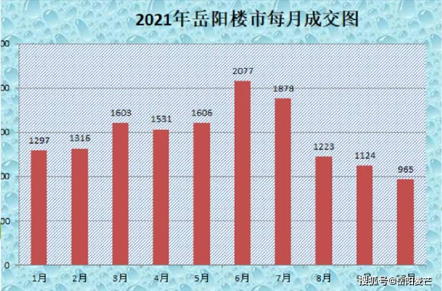 岳阳市最新二手房市场深度剖析，背景与地位揭秘
